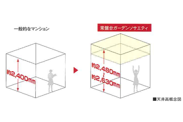 常盤台ガーデンソサエティの天井高概念図